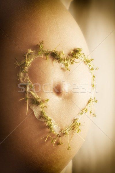 cress heart on baby bump Stock photo © w20er