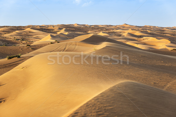 Desert Wahiba Oman Stock photo © w20er