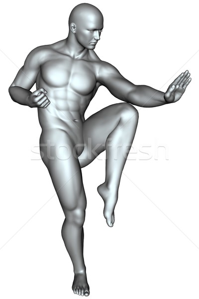 Luptator arte martiale 3D prestate alb izolat Imagine de stoc © Wampa