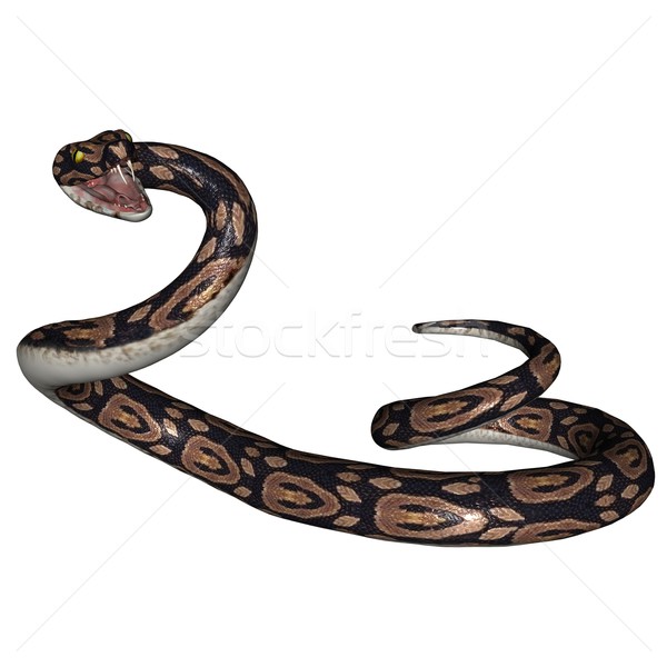 Stock photo: Snake