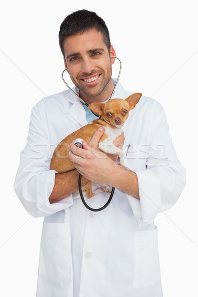 Glücklich Tierarzt Hund Stethoskop weiß Porträt Stock foto © wavebreak_media