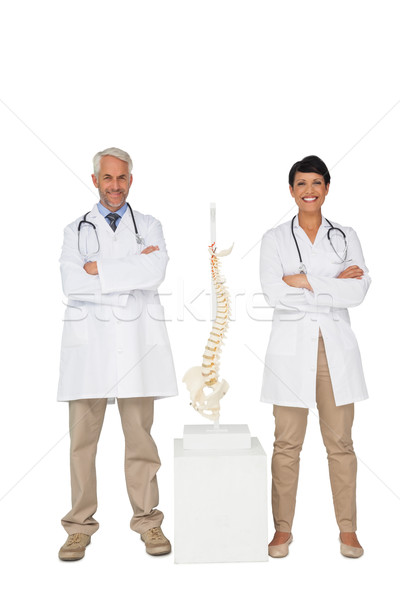портрет два улыбаясь врачи скелет модель Сток-фото © wavebreak_media