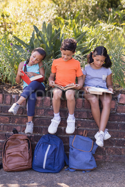 Sonriendo amigos lectura libros naturales sesión Foto stock © wavebreak_media