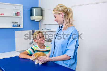 A woman vet examining a dog Stock photo © wavebreak_media