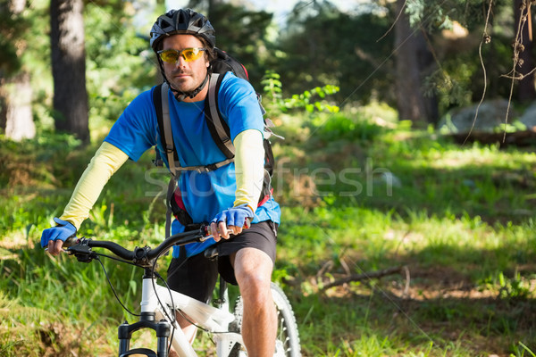 Stock fotó: Portré · férfi · hegy · motoros · bicikli · erdő