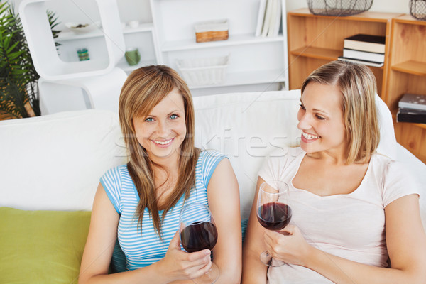 Captivating friends drinking wine in the living-room at home Stock photo © wavebreak_media