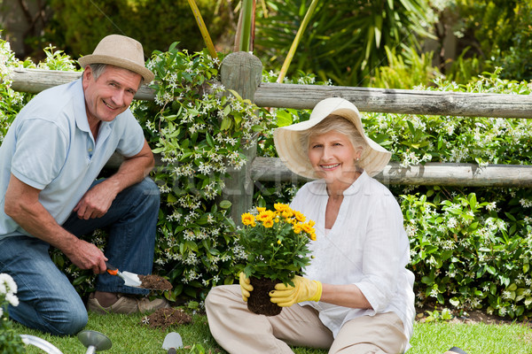 Maturité couple travail jardin femme homme [[stock_photo]] © wavebreak_media