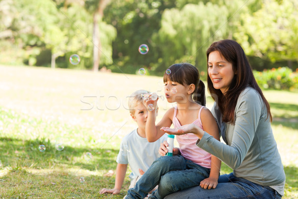 Familie Park Hand Gesicht glücklich Stock foto © wavebreak_media