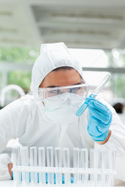 Portrait of a protected science student looking at a test tube in a laboratory Stock photo © wavebreak_media