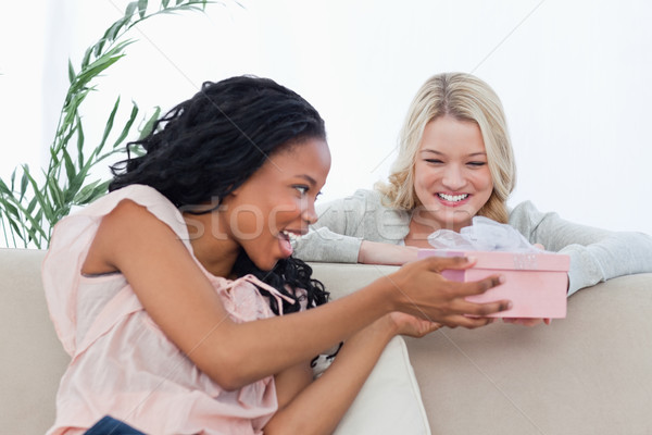 A woman is giving a present in a pink box to her friend Stock photo © wavebreak_media