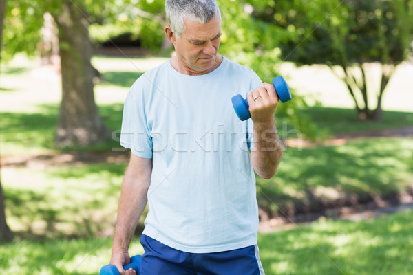 Foto d'archivio: Uomo · maturo · manubri · parco · fitness · verde