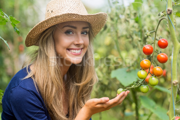 漂亮 看 西紅柿 植物 家 商業照片 © wavebreak_media