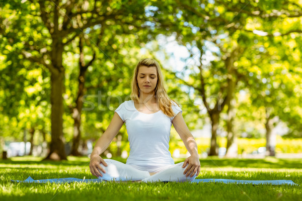 Fit blonde sitting in lotus pose in the park Stock photo © wavebreak_media