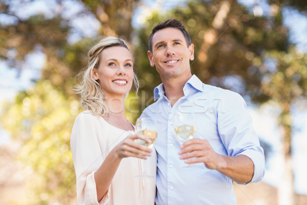 Smiling standing couple enjoying the view and holding wineglass Stock photo © wavebreak_media