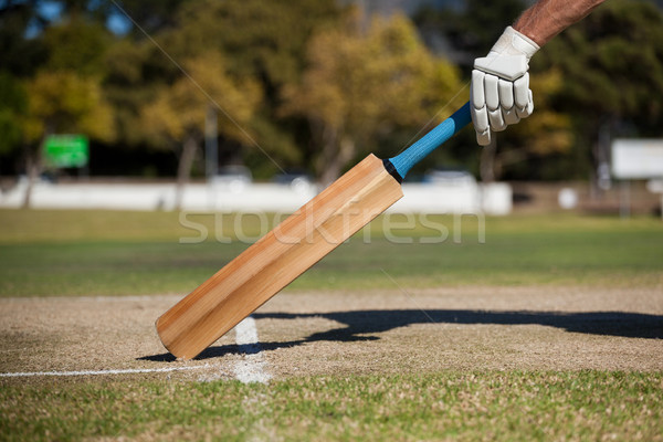 Kép játékos fut krikett mező égbolt Stock fotó © wavebreak_media