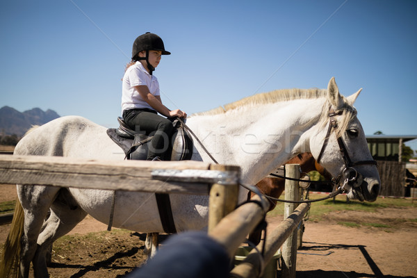 Meisje vergadering paard boerderij kind Stockfoto © wavebreak_media