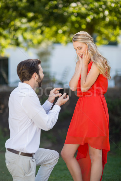 Stockfoto: Man · vrouw · ring · knie · park · glimlach