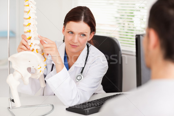 A female doctor is showing a doctor something on a spine Stock photo © wavebreak_media