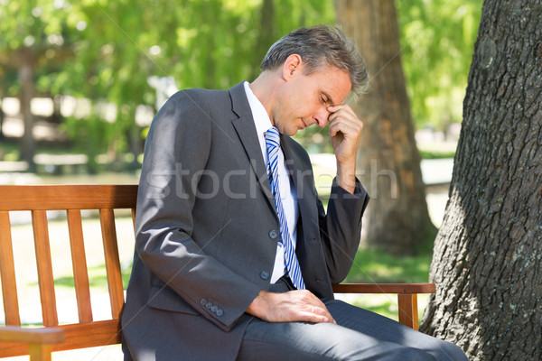 Depressief zakenman park volwassen vergadering bank Stockfoto © wavebreak_media