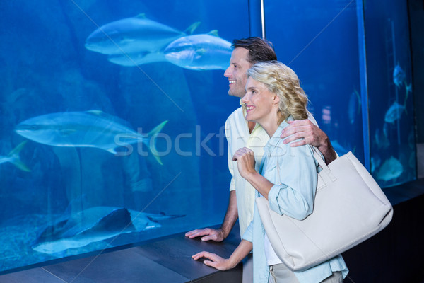 Heureux couple regarder poissons réservoir aquarium [[stock_photo]] © wavebreak_media