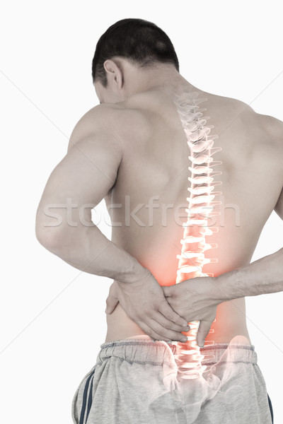 Highlighted spine of man with back pain Stock photo © wavebreak_media