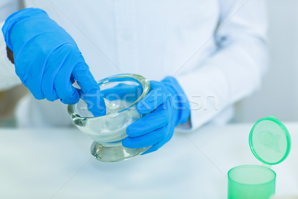 Pharmacist grinding medicine in mortal and pestle Stock photo © wavebreak_media