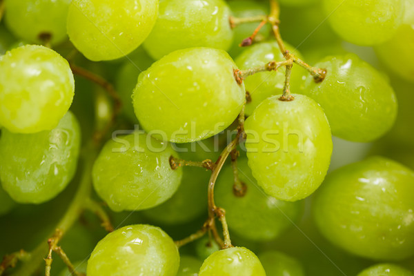 Full frame of grapes Stock photo © wavebreak_media