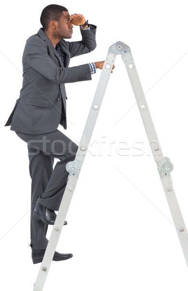 Businessman standing on ladder looking Stock photo © wavebreak_media