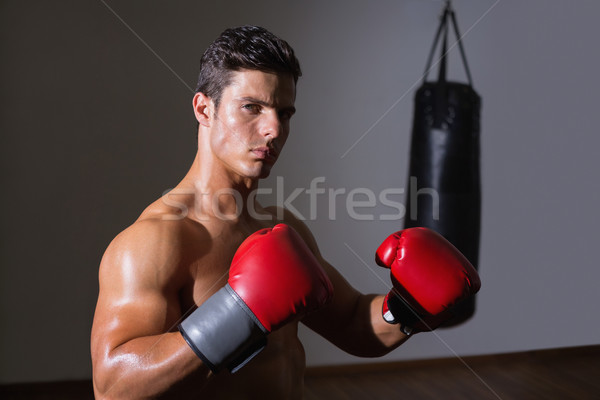 Foto stock: Grave · muscular · boxeador · salud · club · retrato