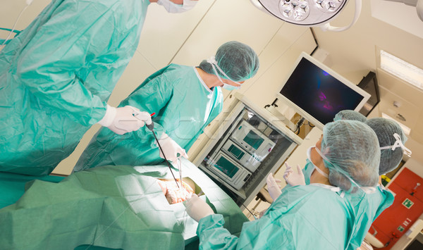 Medical students practicing surgery on model Stock photo © wavebreak_media