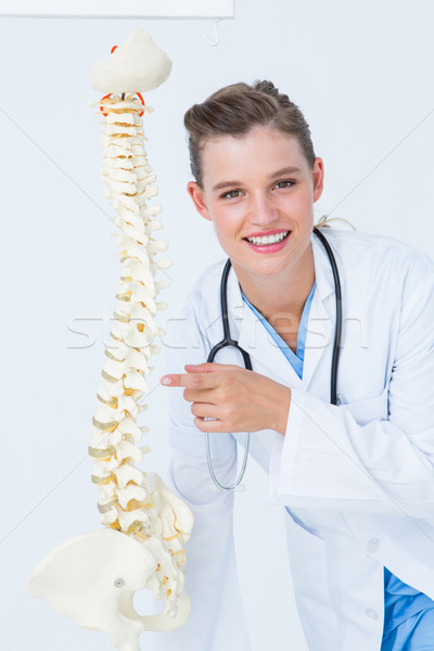 Mosolyog orvos mutat anatómiai gerincoszlop fehér Stock fotó © wavebreak_media