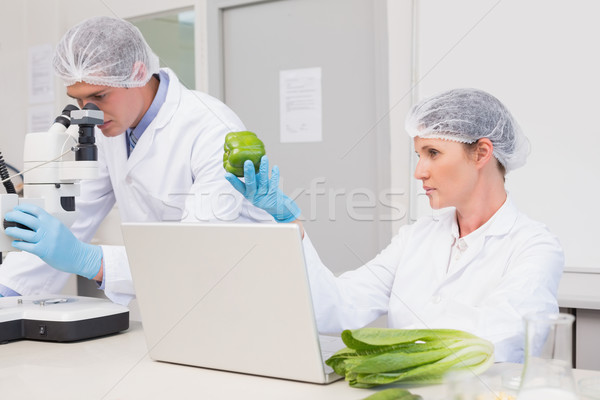 Vert poivre laboratoire femme [[stock_photo]] © wavebreak_media