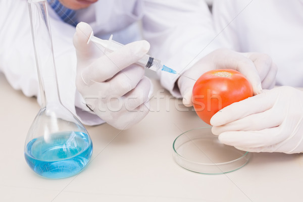 Scientists injecting tomato  Stock photo © wavebreak_media