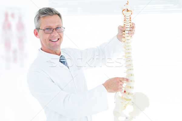 醫生 顯示 解剖 脊柱 診所 辦公室 商業照片 © wavebreak_media