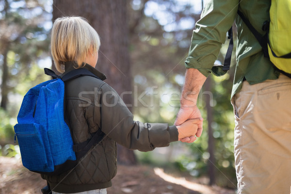 Vader zoon holding handen wandelen bos achteraanzicht man Stockfoto © wavebreak_media