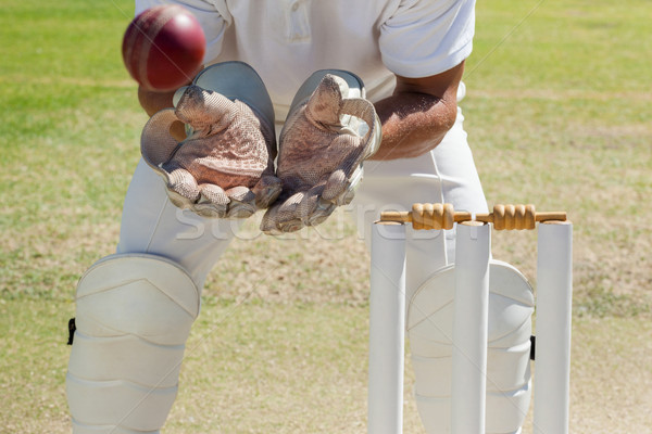 Mid section of wicketkeeper catching ball behind stumps Stock photo © wavebreak_media