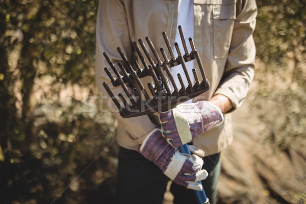 Mid section of man holding rake at olive farm Stock photo © wavebreak_media