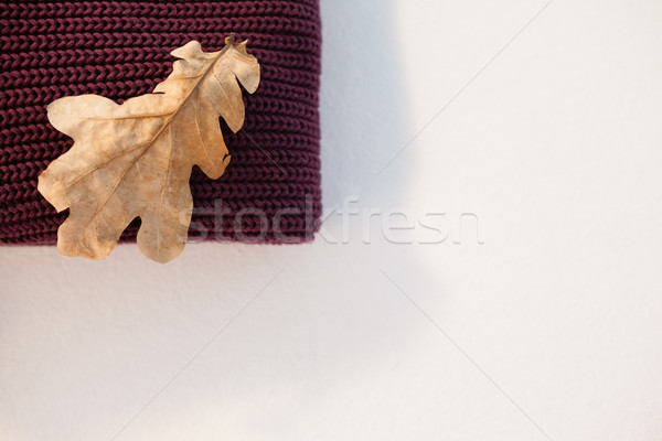 Woolen cloth with autumn leaves Stock photo © wavebreak_media