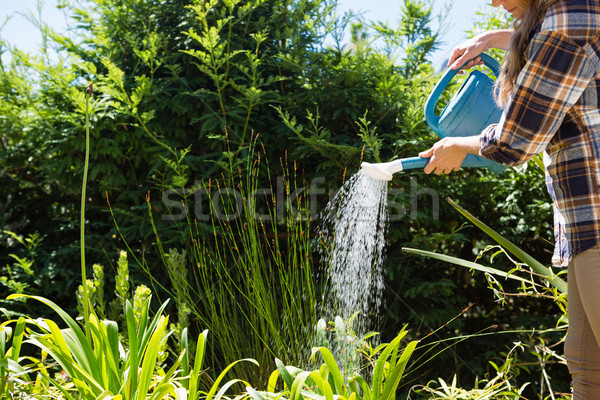 商业照片: 女子 · 植物 · 喷壶 · 花园 / woman watering plants
