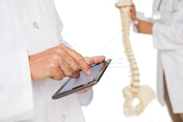 Mid section of doctors with digital table and skeleton model Stock photo © wavebreak_media