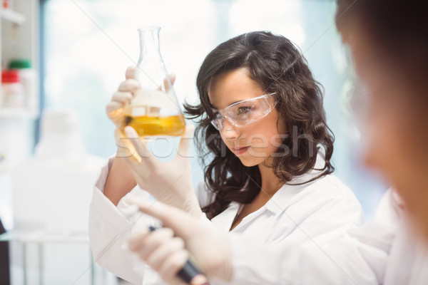 Science students working in the laboratory Stock photo © wavebreak_media