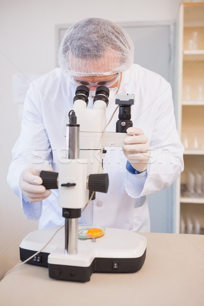 żywności naukowiec patrząc jaj żółtko mikroskopem Zdjęcia stock © wavebreak_media