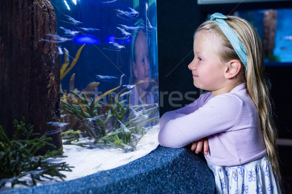 Happy young woman looking at fish  Stock photo © wavebreak_media