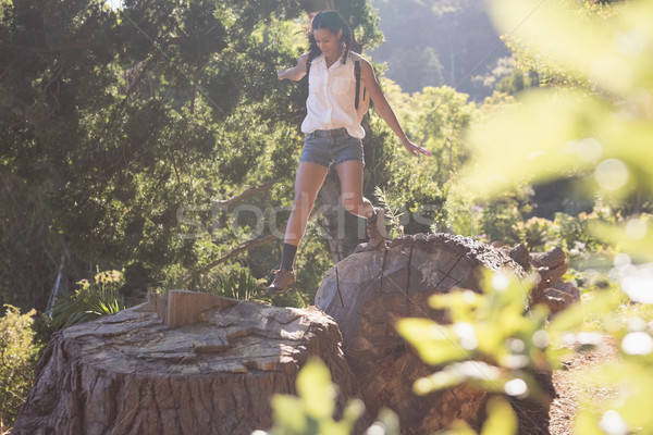 Female hiker jumping from tree stumps in forest Stock photo © wavebreak_media