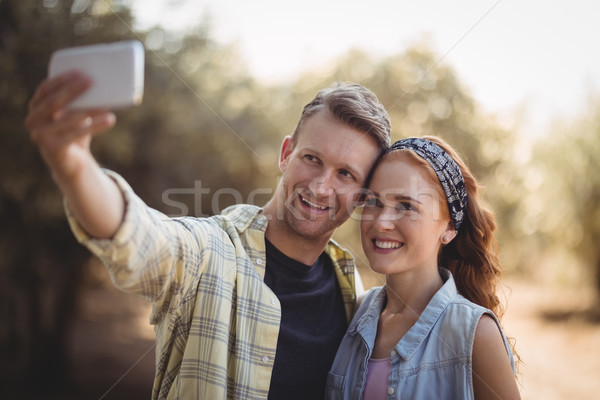 Cheerful young couple taking selfie at olive farm Stock photo © wavebreak_media