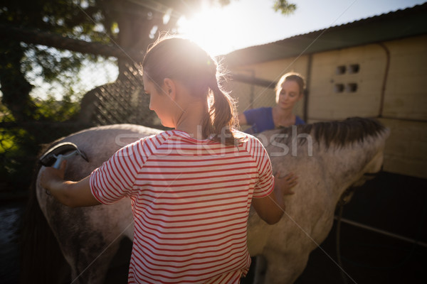 Amigos limpeza cavalo celeiro feminino mulher Foto stock © wavebreak_media
