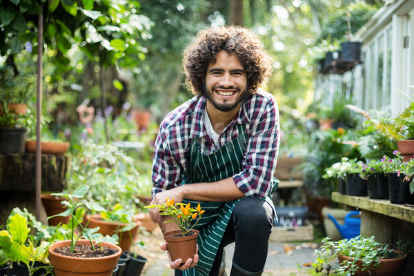 Smiling male gardener holding potted plant Stock photo © wavebreak_media