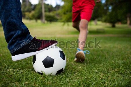Woman soccer player progressing with a ball against digitally generated cameroon national flag Stock photo © wavebreak_media