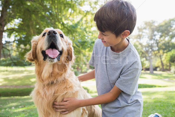 Stockfoto: Weinig · jongen · hond · park · boom