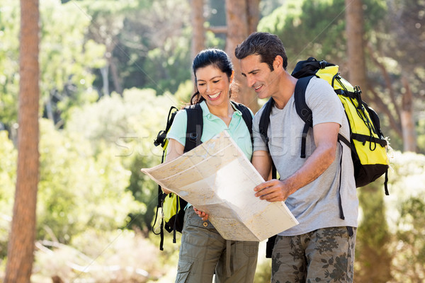 Foto stock: Pareja · sonriendo · estudiar · mapa · madera · árbol